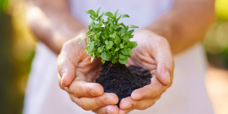 The Importance of Going Green